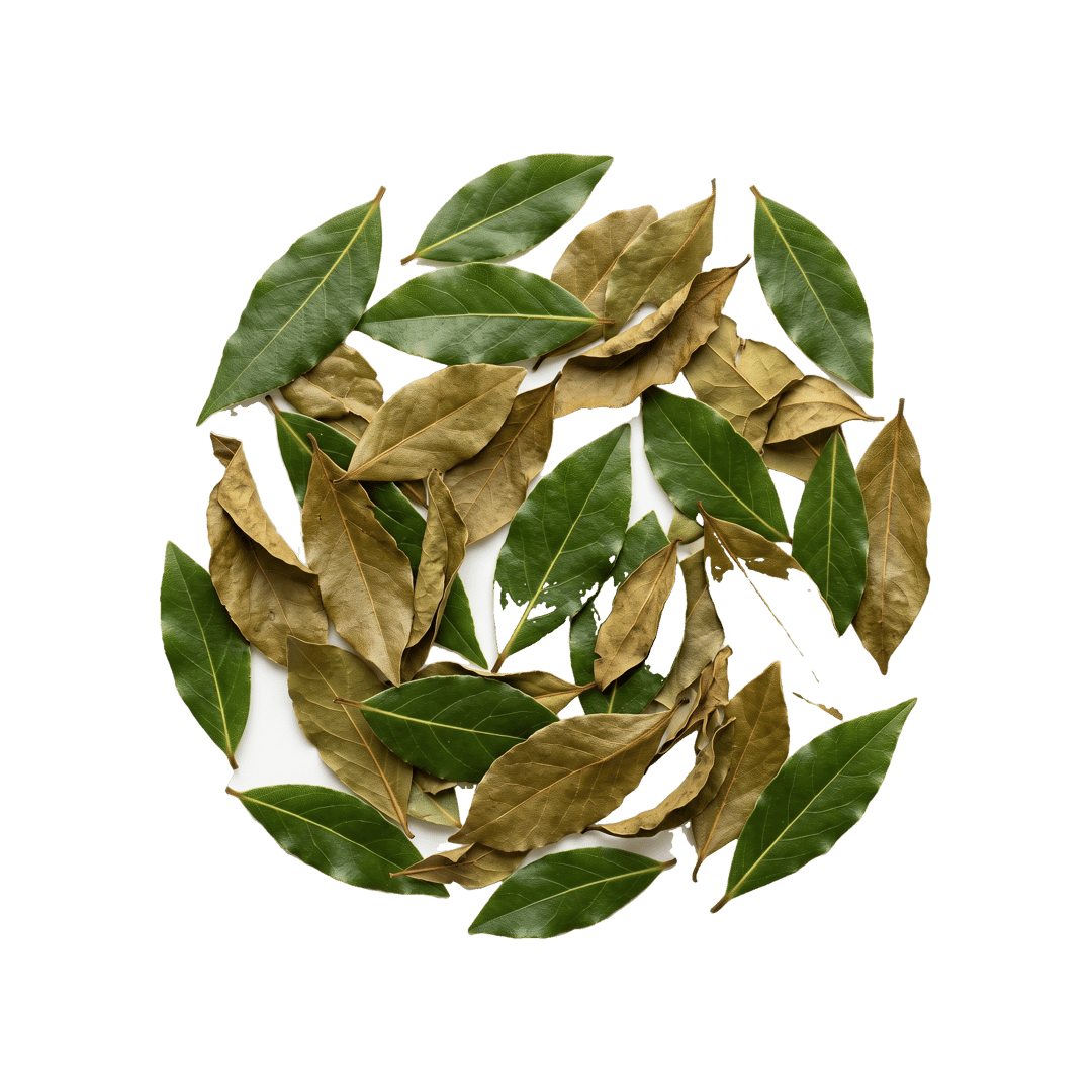 Bay Leaf