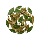 Bay Leaf