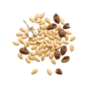 Bitter Almond