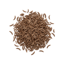 Caraway