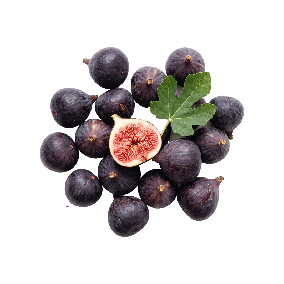 Fig
