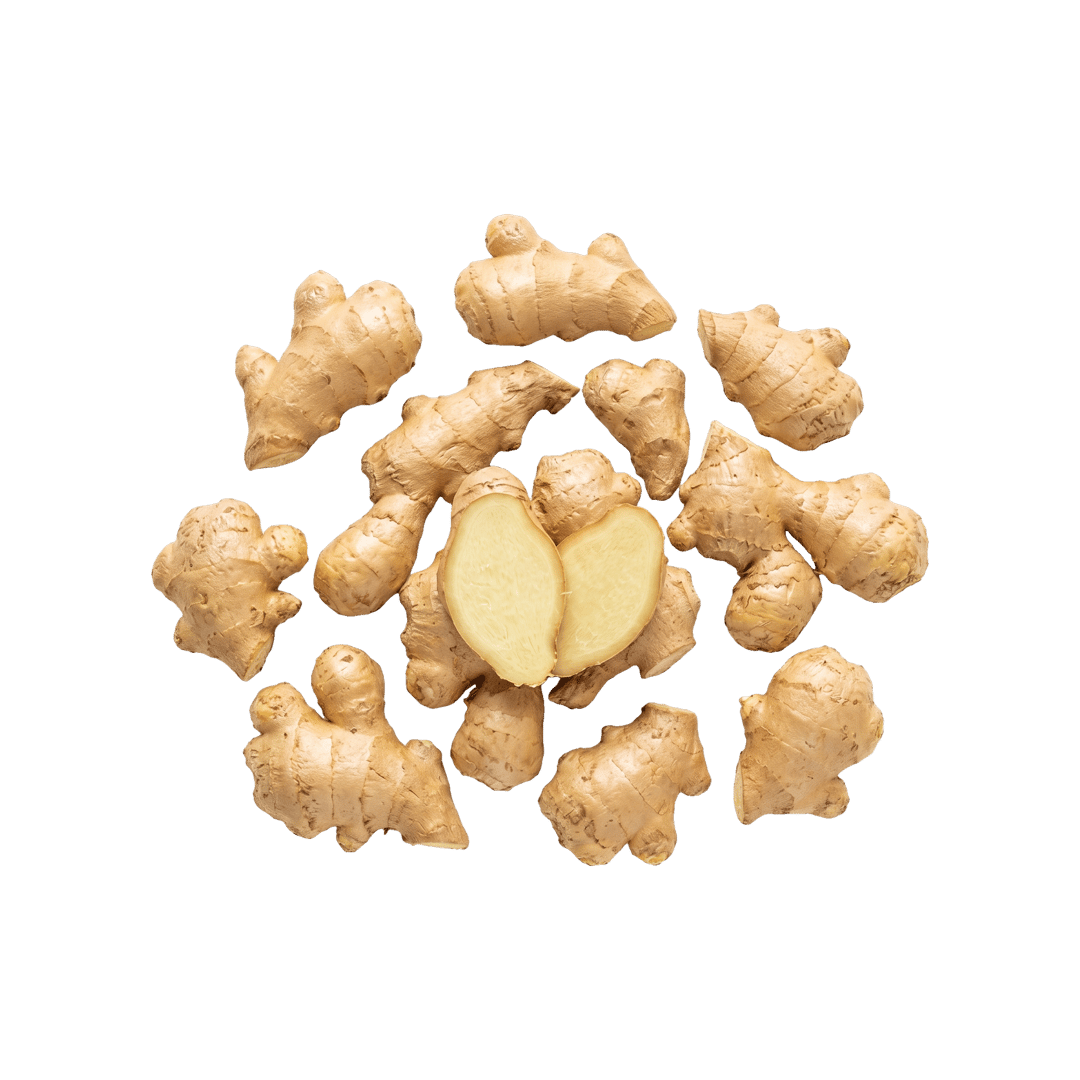 Ginger