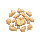 Ginger