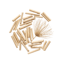 Papyrus