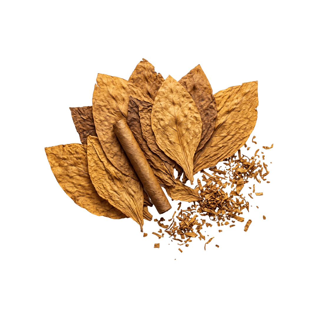Tobacco
