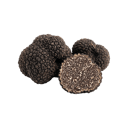 Truffle
