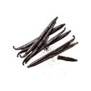 Vanilla