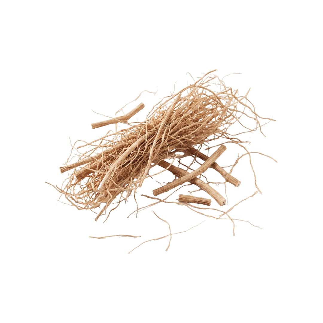 Vetiver